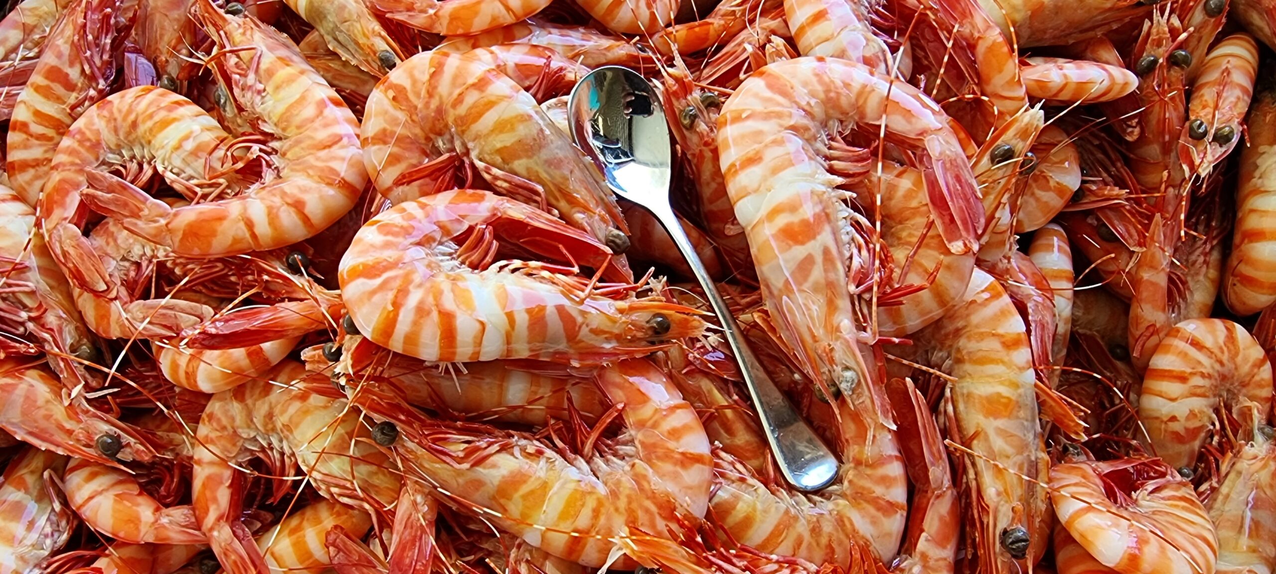 Tiger Prawns Cooked Medium Kg Sea U