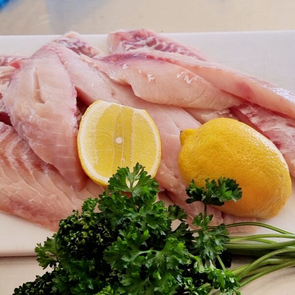 Sweetlip Fillets